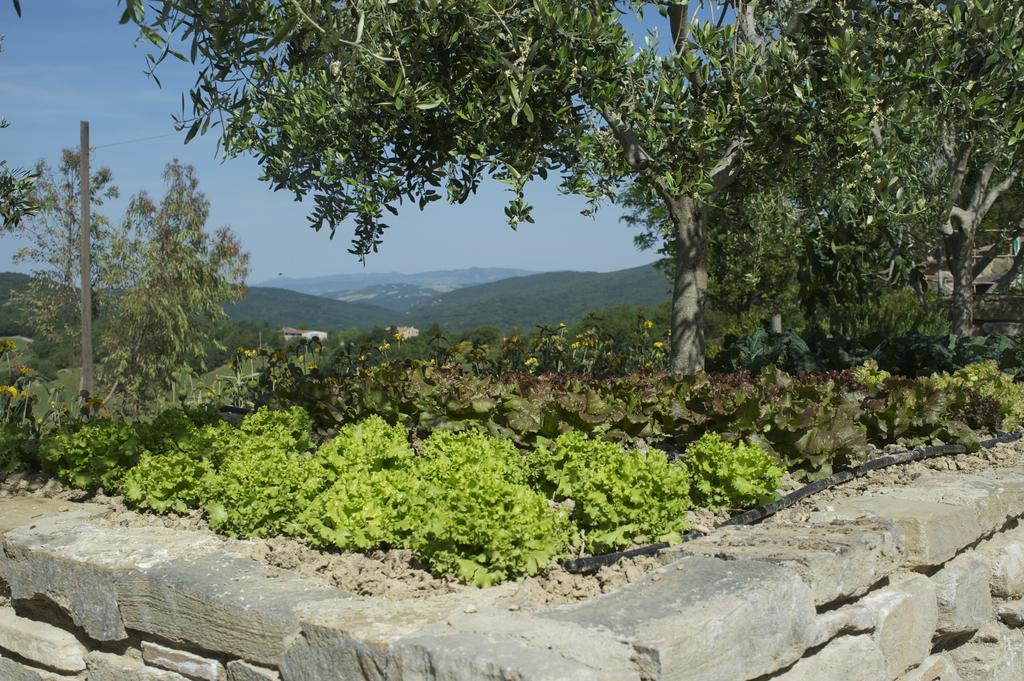 Agriturismo Erta Vila Casole dʼElsa Exterior foto