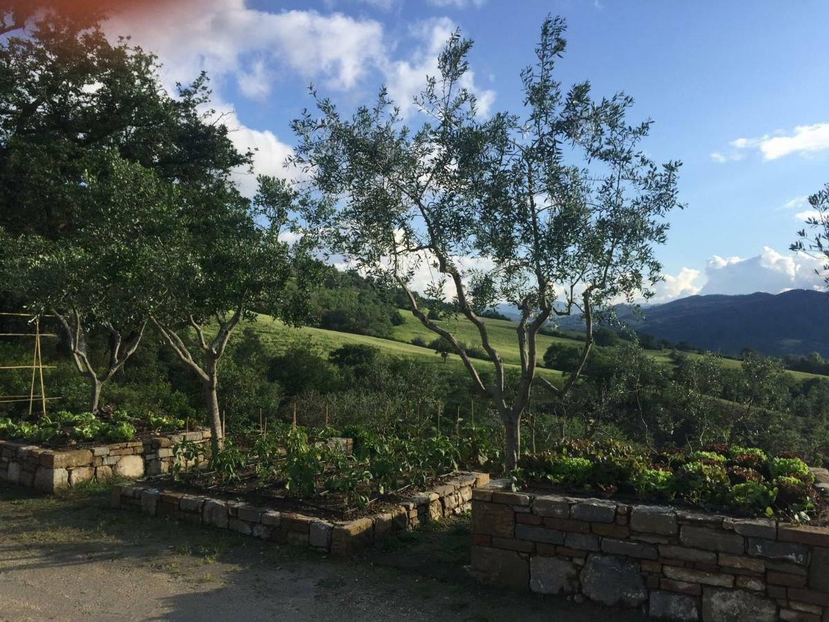 Agriturismo Erta Vila Casole dʼElsa Exterior foto